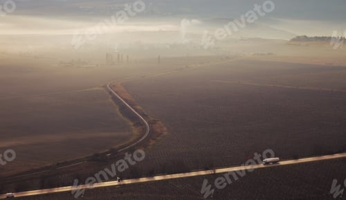 Preview: Vineyards In the morning mist