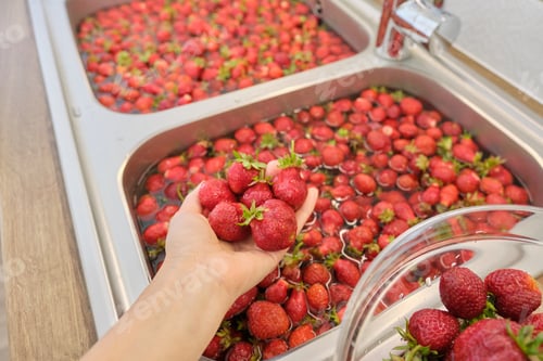 Preview: Strawberry season, washing berries in water in wash basin at home kitchen