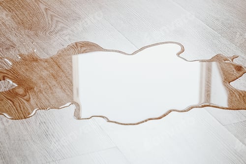 Preview: Puddle of pet pee on the floor in the living room