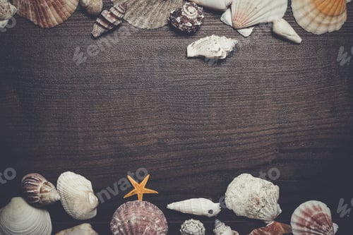 Preview: different seashells over brown wooden background
