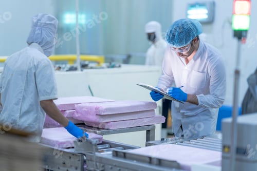 Preview: Industrial food production line with a worker ensuring process accurac