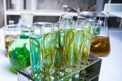 Preview: green alga laboratory research, alternative biofuel energy technology, biotechnology concept