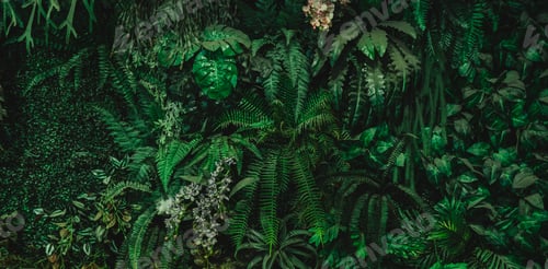 Vista previa: Close up group of background tropical green leaves texture and abstract background.