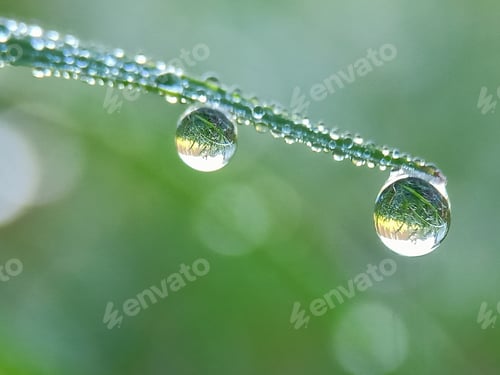 Preview: Droplet