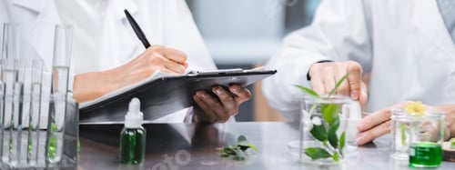 Preview: medicine chemical research with organic nature herbal plant in laboratory, cosmetic extract liquid