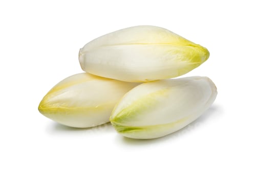 Preview: Heap of whole fresh raw Belgian endive