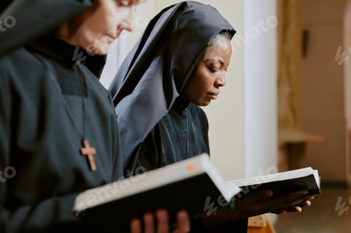 Preview: Two Nuns Reading Religious Texts
