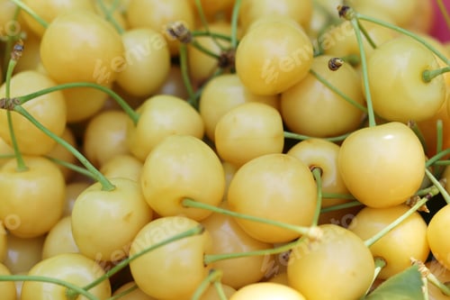 Preview: Fresh ripe cherries. Food background.