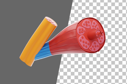 Preview: Muscle Tissue 3D Icon