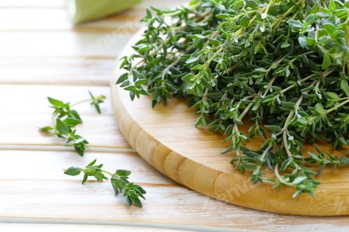 Preview: Herb Thyme