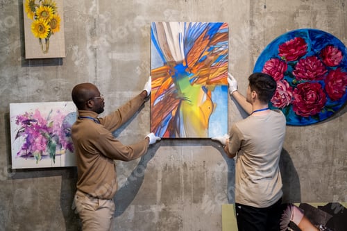 Preview: Two intercultural male workers of gallery hanging painting on wall