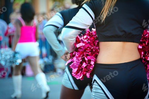 Preview: Pink pom poms