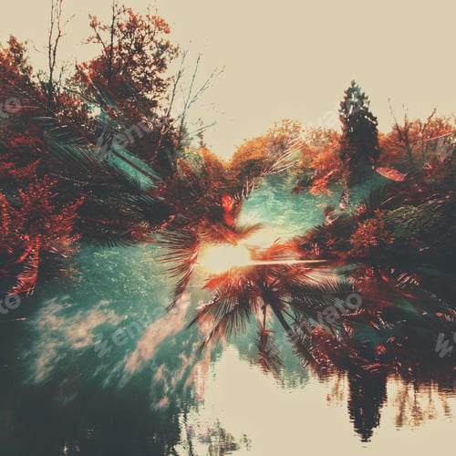 Preview: Tropical Sun Shining Through Trees Reflected in Water