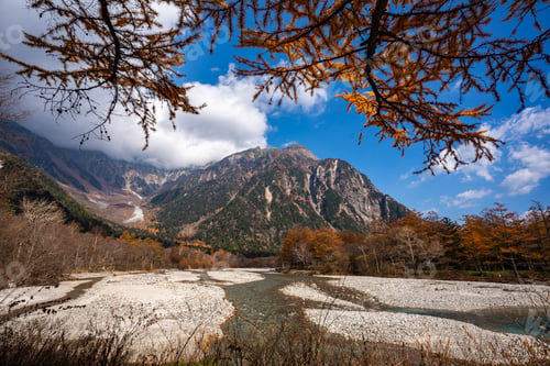Preview: Vibrant Colors of Autumn in Japan, Exploring the Majestic Forests and Gardens of Kyoto