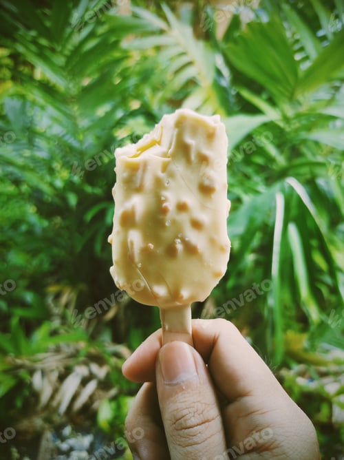 Preview: Refreshing Ice Cream on a Stick With Greenery