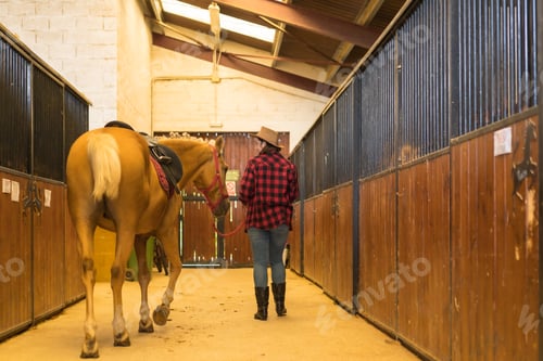 Preview: Caucasian cowgirl woman strolling with a horse in a stable, wearing American cowboy hats
