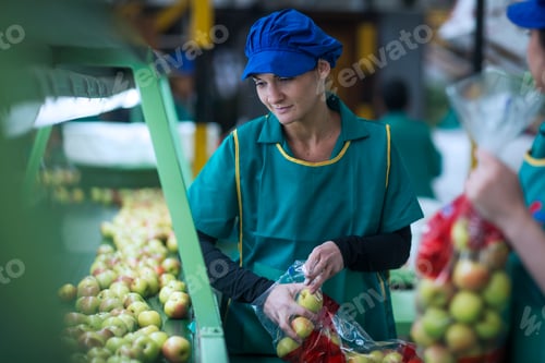 Preview: Woman packing apples in plastic bags in factory