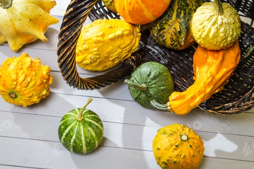Preview: Colorful pumpkins harvested in a wicker basket