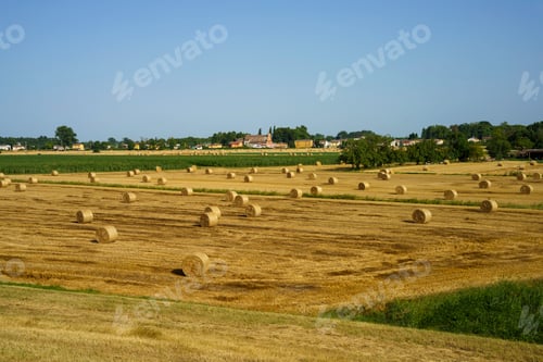 Preview: Rural landscape near Suzzara, Mantova province, Italy