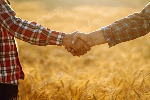 Preview: Handshake. Two farmer standing in a wheat field and shake hands on sunset. Harvesting concept.