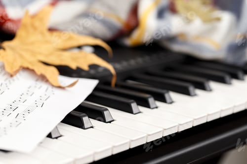 Preview: Close up of the electronic piano