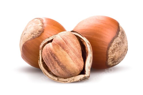 Preview: Issolated hazelnut on white background