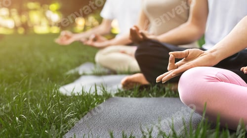 Preview: Group of people meditating in park