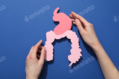 Preview: Concept of health care, stomach and intestinal problems