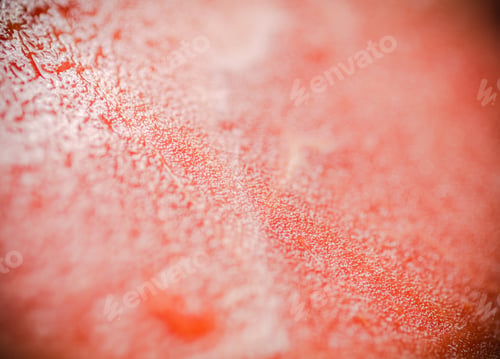 Preview: Fresh watermelon. Macro shot