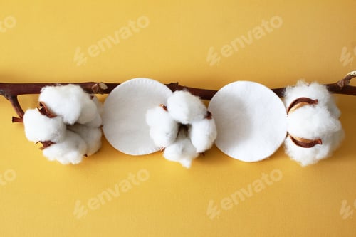Preview: Aesthetic image of a cotton branch with fluffy cotton and soft pads on a bright yellow background.