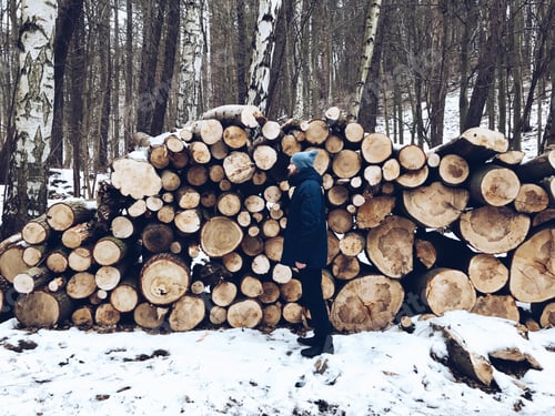 Preview: Winter