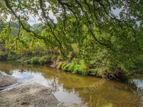 Preview: Scenic view of a forested area in Germany