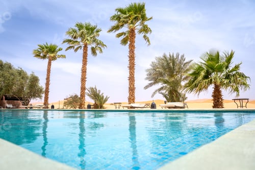 Preview: Desert oasis with a clear blue swimming pool.