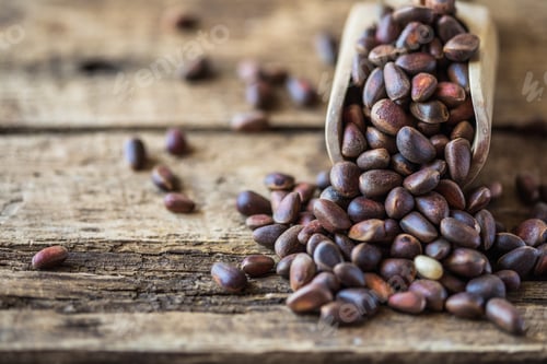Preview: cedar nuts in shell. Organic food. Seeds of Siberian pine