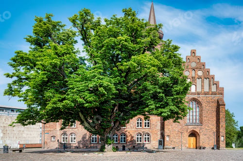 Preview: Nykobing Falster Church Courtyard Tree