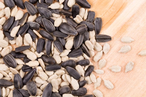 Preview: Sunflower seeds black and white.