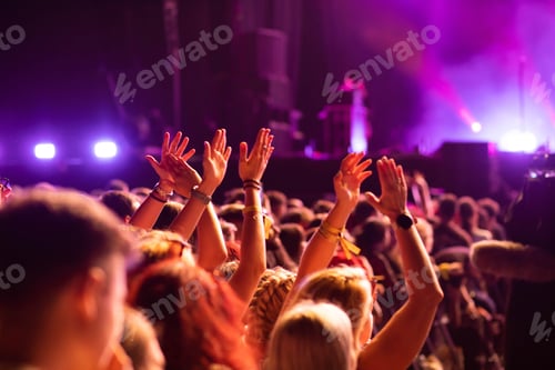 Preview: crowd partying stage lights live concert summer music festival