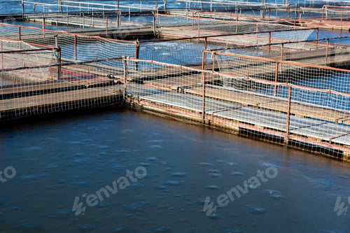 Preview: Fish farm for brooding sturgeons in Astrakhan, Russia