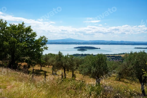 Preview: The Trasimeno lake at summer near Passignano