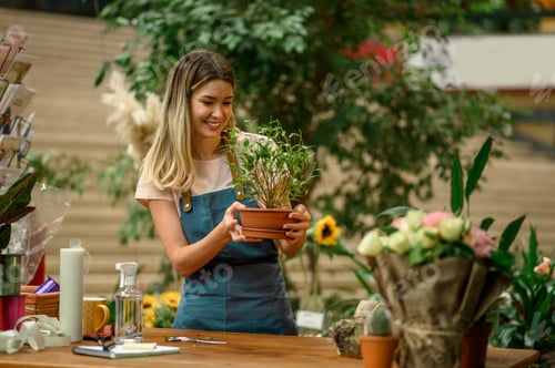 Preview: Woman florist taking care of a plant in a flower shop