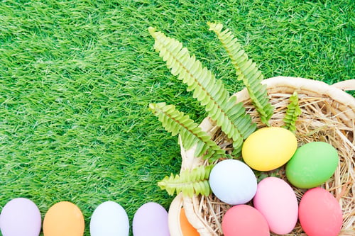 Preview: Easter eggs in the basket on grass