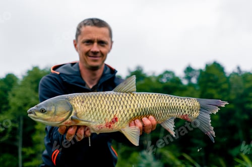 Preview: satisfied professional fisherman holding a carp on the bank of a river fishing in a pond with good c