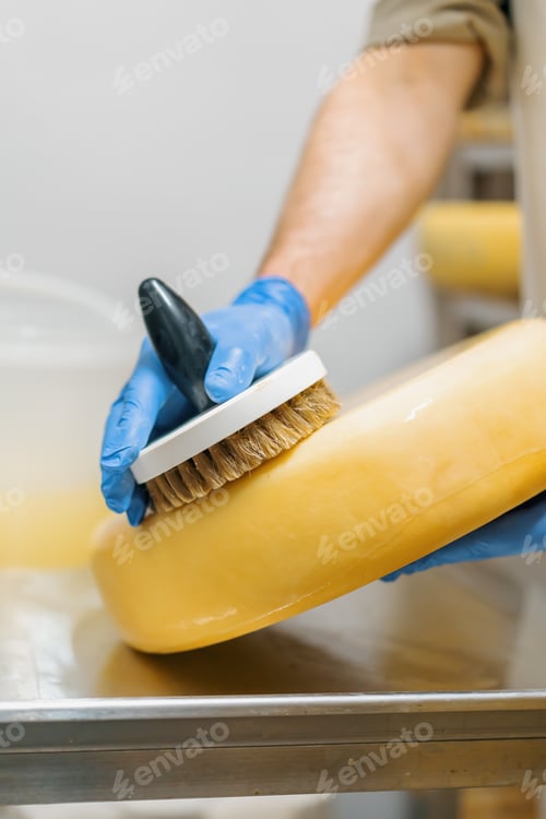 Preview: Male hands in gloves cleaning cheese by brush in warehouse of milky farm Dairy production