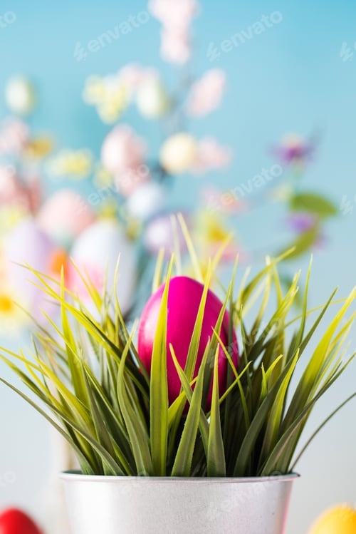 Preview: The Easter egg is hidden in the green grass on a blue background. Easter concept.