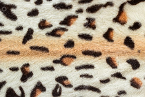 Vista previa: Fur of bengal cat, animal print