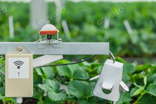 Preview: Smart farming, CO2 Sensor humidity lighting temperature monitor technology for automation plant farm
