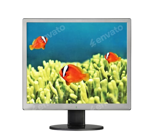 Preview: Goldfishes in aquarium in LCD monitor