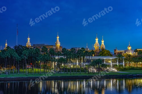 Preview: night sky over University of Tampa behind a row of palm trees with a reflection in the river