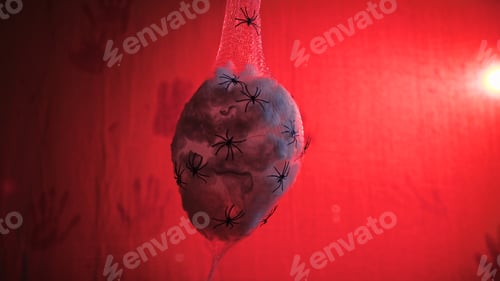 Preview: Decorative Spiders Nest For Halloween