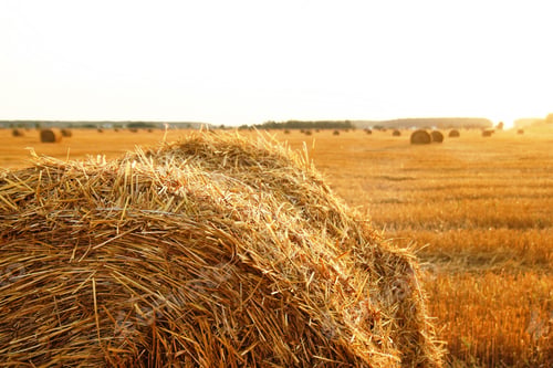 Preview: Stack of hay closeup on a field with dry yellow grass on a sunset with beautiful sunlight